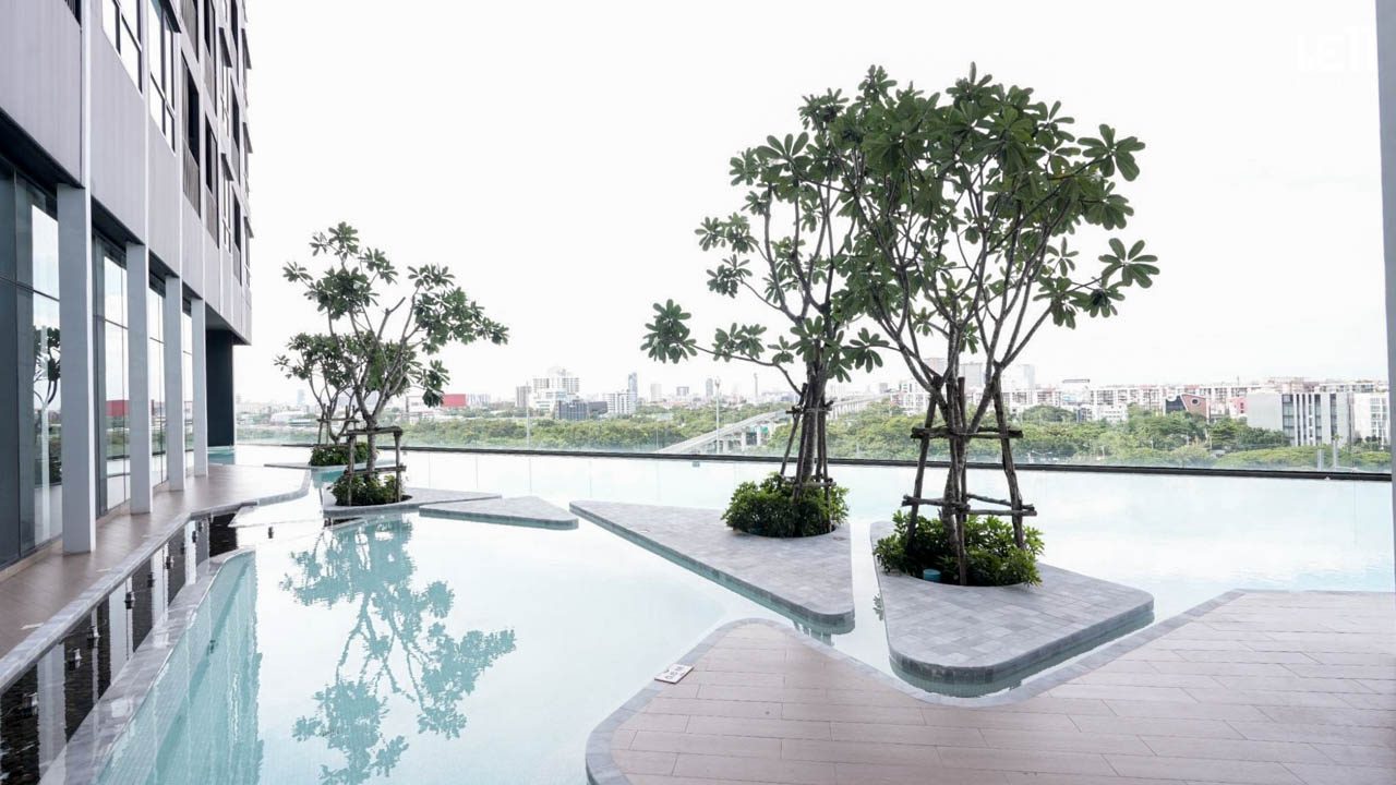 สระว่ายน้ำและสวนดาดฟ้า